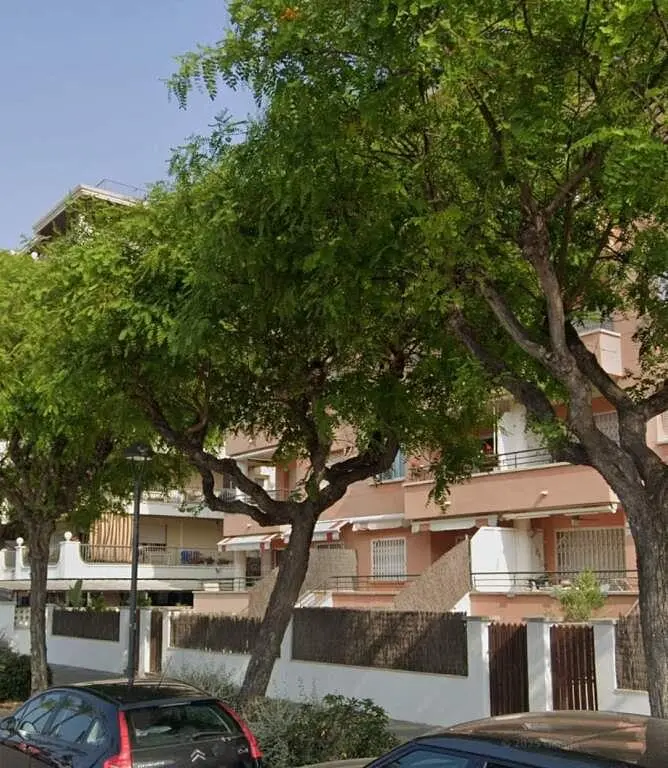 House and surroundings; view