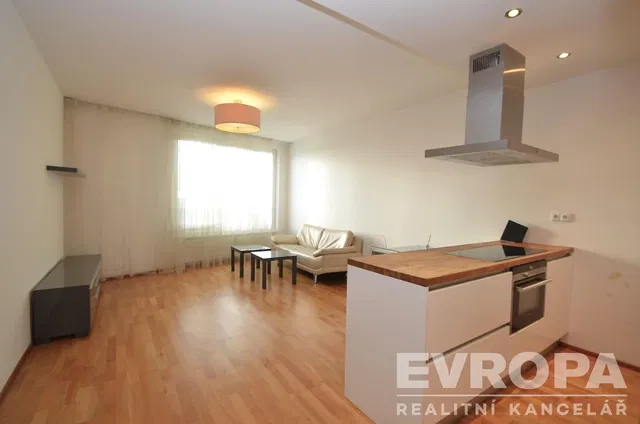 Living room; view, wood floor, natural light, modern style
