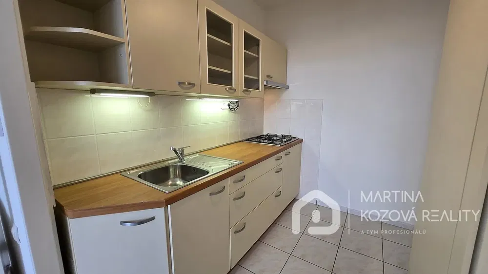 Kuchyňa; kuchynské spotrebiče, dlažba, po rekonštrukcii, prirodzené svetlo, moderný štýl