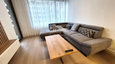 Salon; lumière naturelle, style moderne, parquet