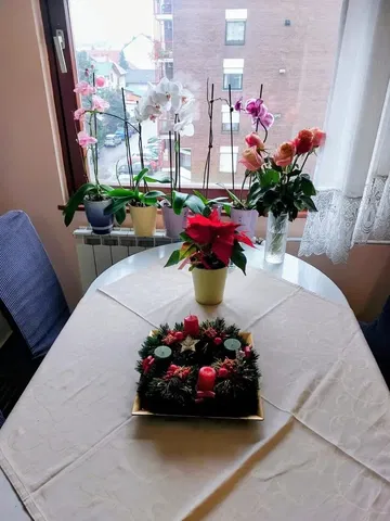 Obývačka; výhľad, prirodzené svetlo