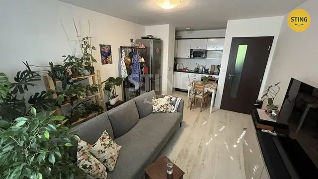 Obývačka; prirodzené svetlo, moderný štýl