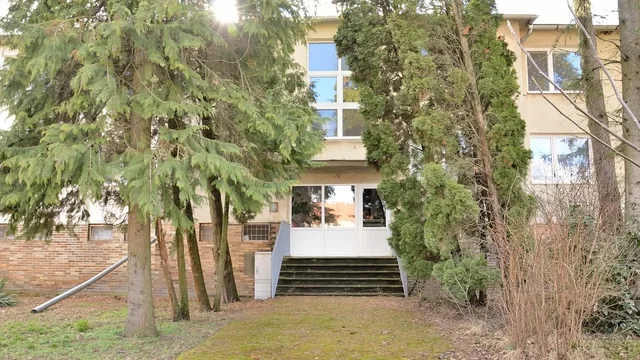 House and surroundings; natural light