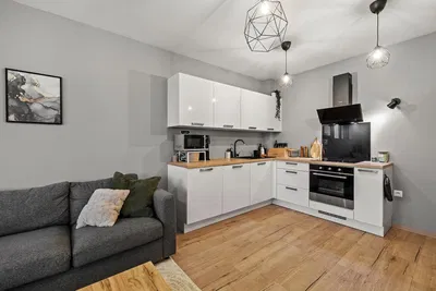 Obývačka; kuchynské spotrebiče, drevená podlaha, prirodzené svetlo, moderný štýl