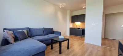 Salon; lumière naturelle, style moderne