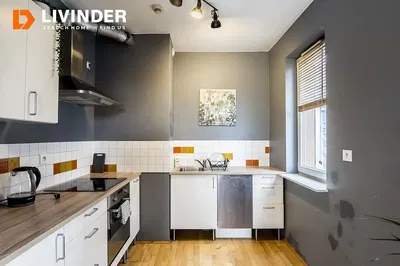 Cuisine; électroménager, lumière naturelle, style moderne