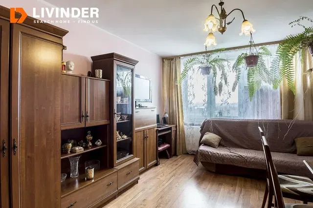 Salón; suelo de madera, luz natural, estilo rústico