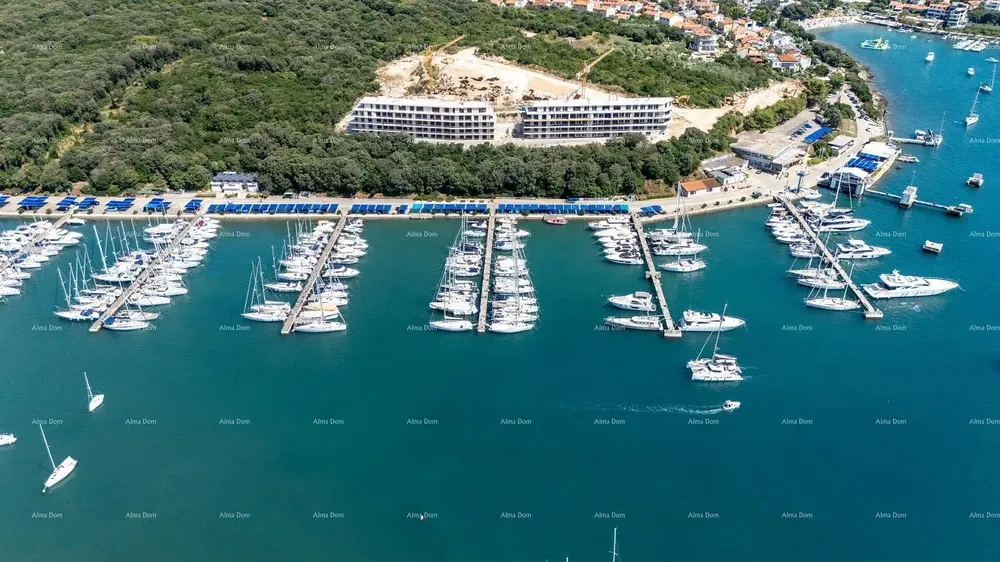 Kuća i okolina; pogled