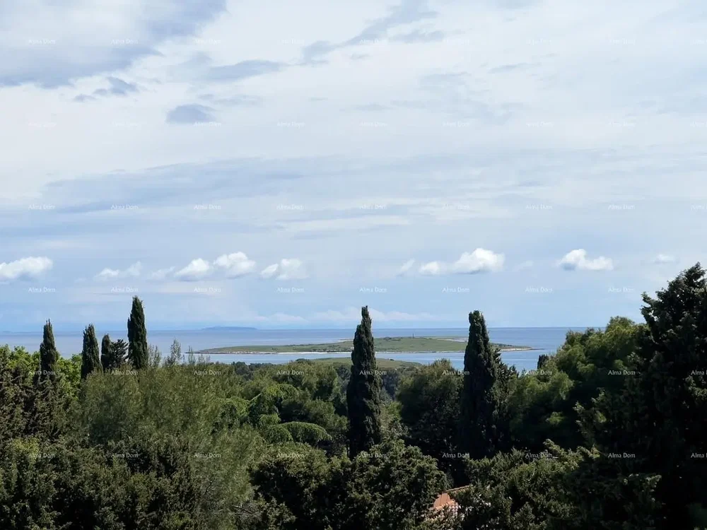 Balkon; blick