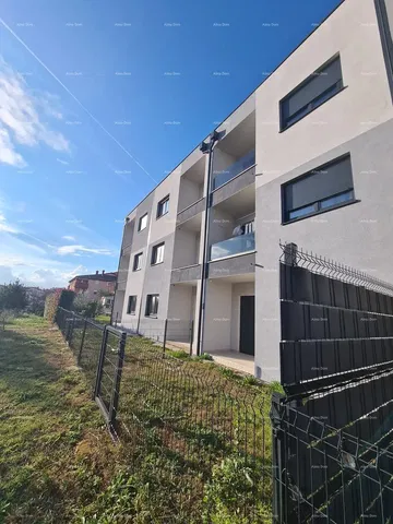 Kuća i okolina; pogled