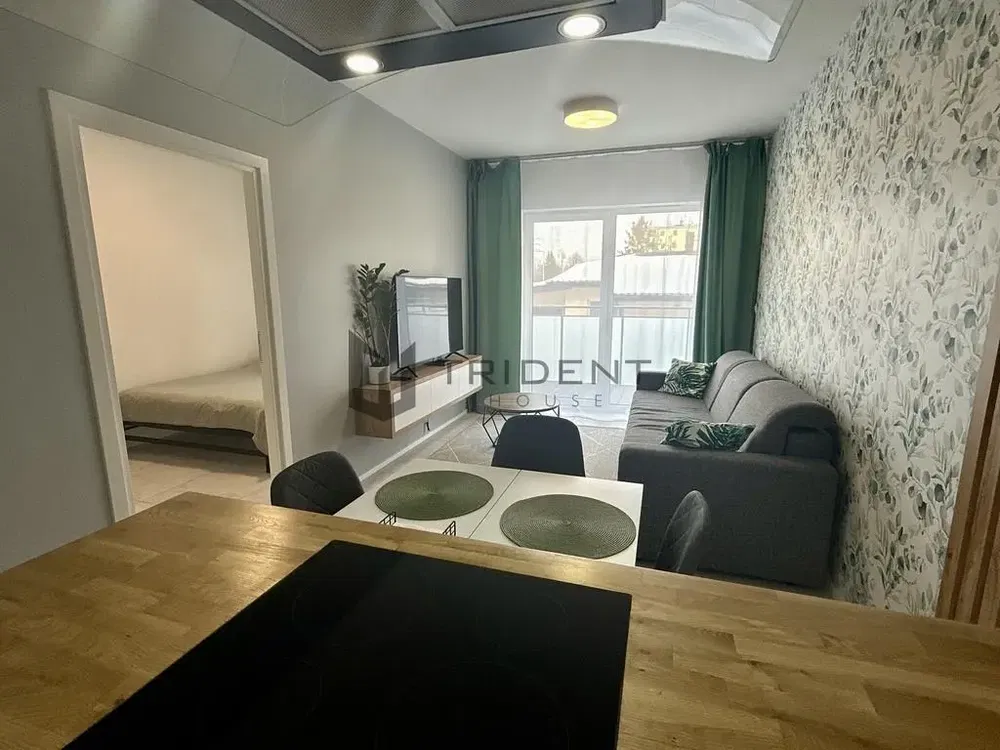 Salon; lumière naturelle, style moderne