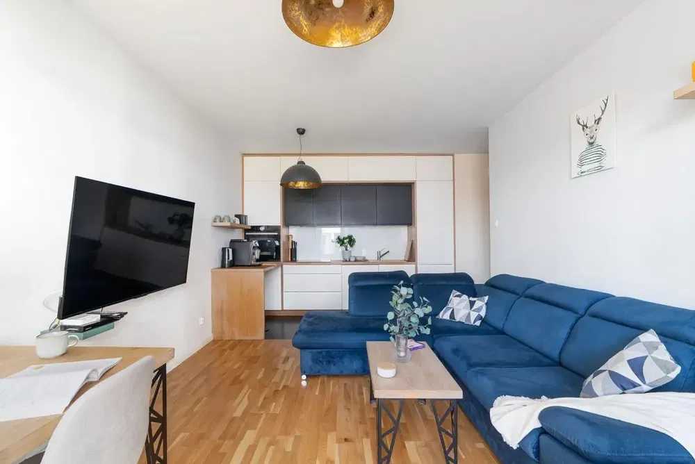 Salon; parquet, style moderne, lumière naturelle, électroménager