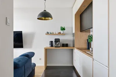 Cuisine; électroménager, lumière naturelle, style moderne