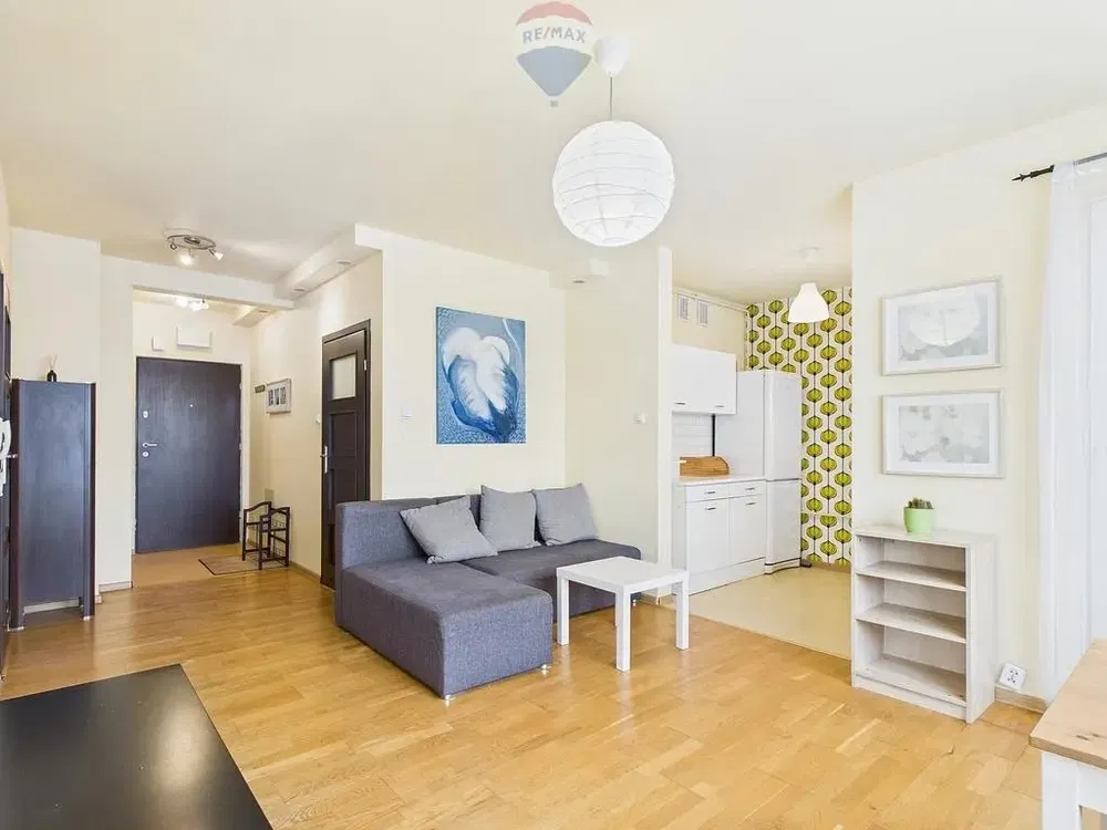 Salon; lumière naturelle, style moderne