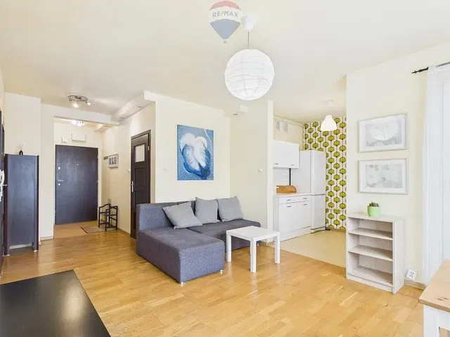 Salon; lumière naturelle, style moderne