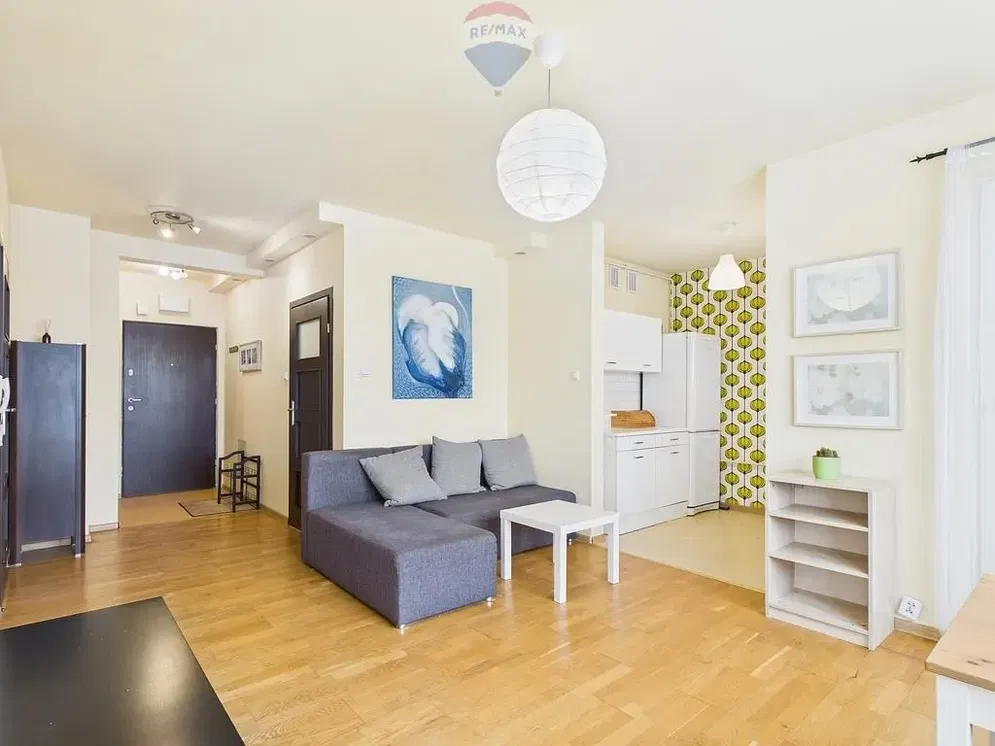 Salon; lumière naturelle, style moderne