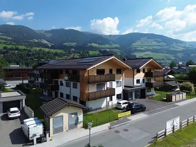 House and surroundings; view