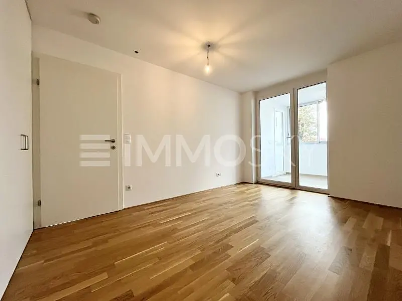 Living room; wood floor, natural light