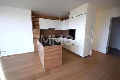 Küche; küchengeräte, holzboden, tageslicht