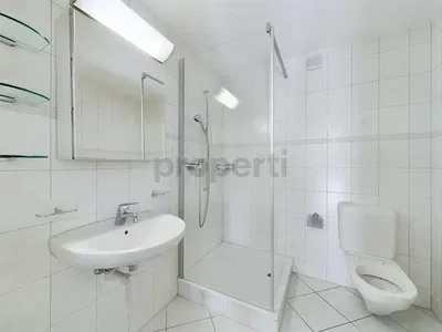 Badezimmer; fliesenboden, tageslicht