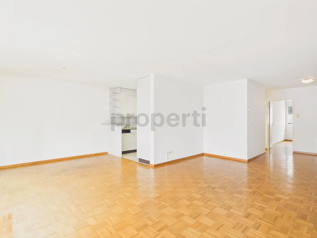 Salon; parquet, lumière naturelle