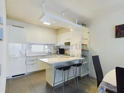 Kuchyně; kuchyňské spotřebiče, dlažba, po rekonstrukci, moderní styl