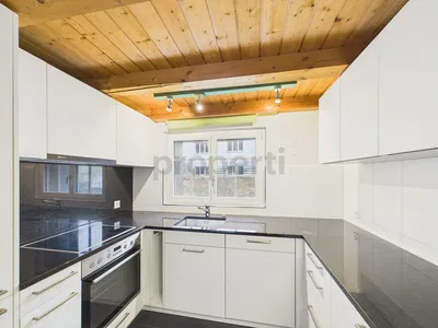 Küche; küchengeräte, blick, tageslicht