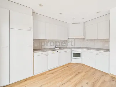 Küche; küchengeräte, fliesenboden, holzboden, renoviert, tageslicht