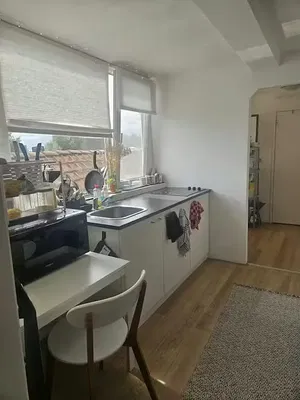 Mutfak; mutfak aletleri, doğal ışık, modern stil