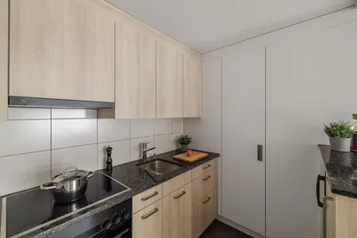 Keuken; keukenapparatuur, natuurlijk licht, moderne stijl