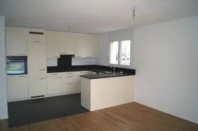 Cuisine; électroménager, carrelage, parquet, lumière naturelle, style moderne