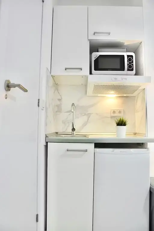 Cuisine; électroménager, lumière naturelle, style moderne