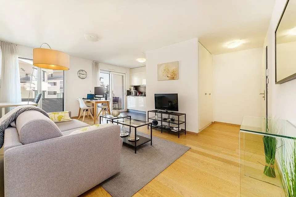 Soggiorno; luce naturale, pavimento in legno, stile moderno