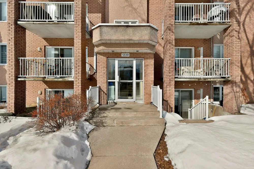 House and surroundings