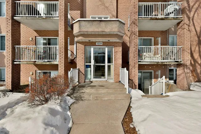 House and surroundings