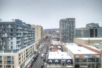 House and surroundings; view