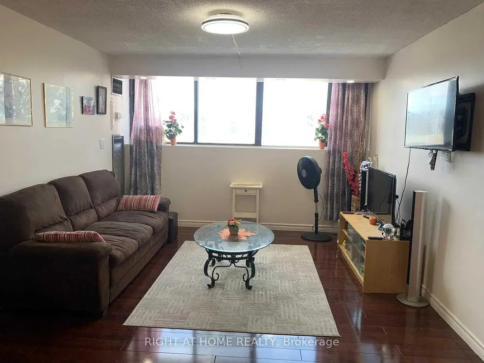 Living room; natural light, modern style