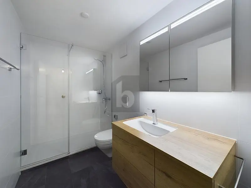 Badezimmer; fliesenboden, renoviert, tageslicht