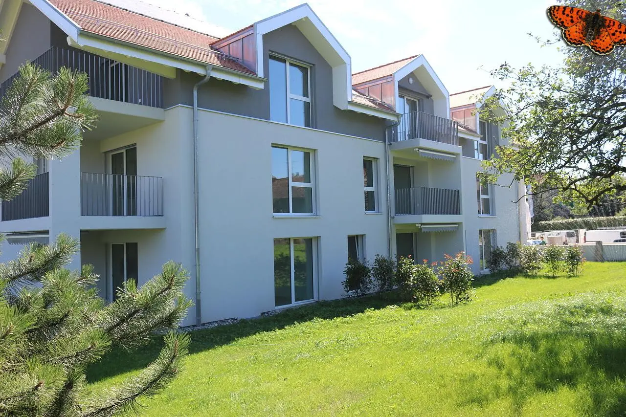 Haus und umgebung; blick