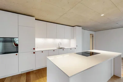Cuisine; électroménager, parquet, rénové, lumière naturelle, style moderne