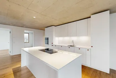 Кухиња; кухињски апарати, модерни стил, дрвени под, реновиран, природно светло