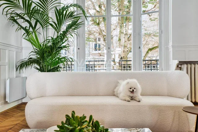 Obývací pokoj; výhled, přirozené světlo, moderní styl, dřevěná podlaha