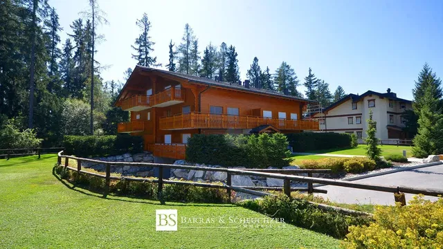 Casa e arredores; luz natural