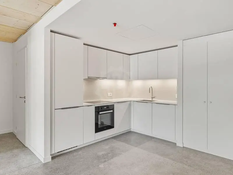 Küche; küchengeräte, renoviert, tageslicht, moderner stil