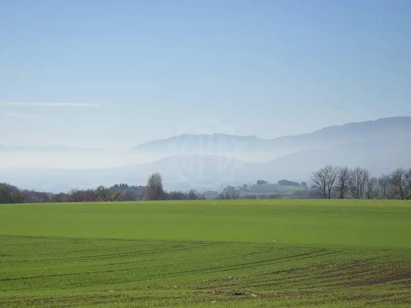 Sonstiges; blick, tageslicht