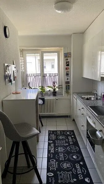 Kuchyně; kuchyňské spotřebiče, přirozené světlo, moderní styl