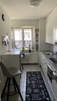 Kuchyně; kuchyňské spotřebiče, přirozené světlo, moderní styl