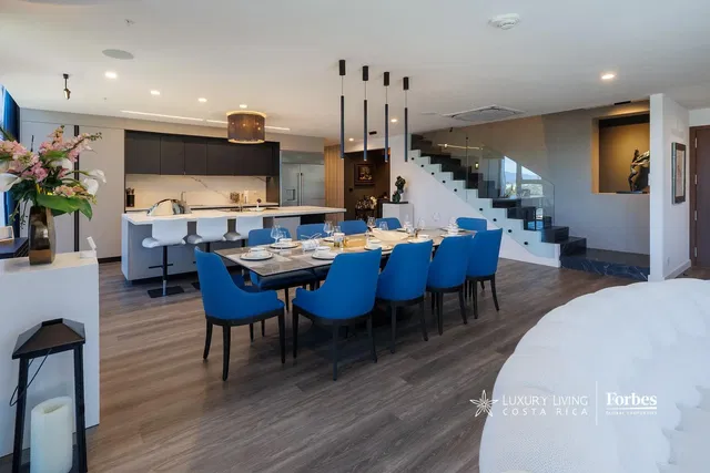 Esszimmer; blick, moderner stil, tageslicht