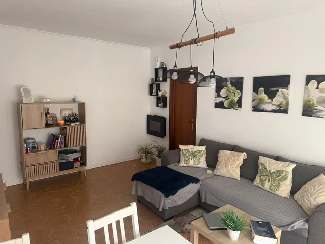 Oturma odası; doğal ışık, modern stil