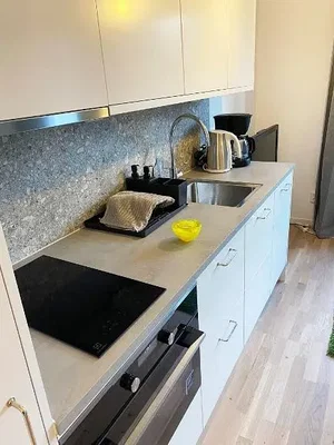 Cuisine; électroménager, parquet, rénové, lumière naturelle
